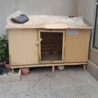قفس کبوتر و مرغ