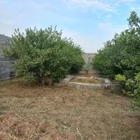 فروش ۱۴۳۶ متر باغ