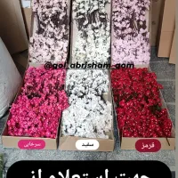 فروش ویژه شکوفه مصنوعی درجه یک