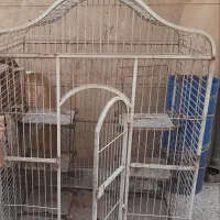 قفس پرنده