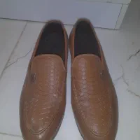 دوجفت کفش مجلسی
