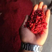 پخش مستقیم زرشک از کشاورز / فروش عمده