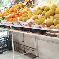 طبق میوه