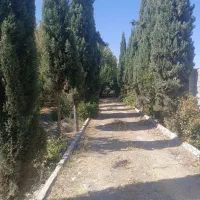 قواره-زمین-خونه-بیدزرد