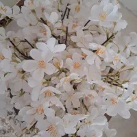 گل و گلدان