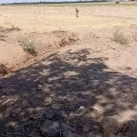 سلام توله جنس دار گله ی دهن پاک