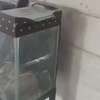 اکواریوم باپایه ولوازم