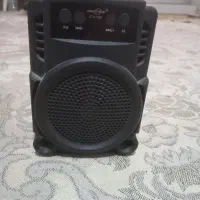 اسپیکر سالم