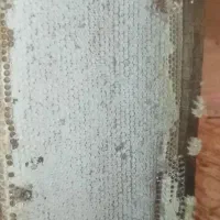 فروش عسل طبیعی به صورت عمده ۱کیلو تا ۱۰۰۰کیلوگرم