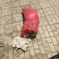 فروش کیسه خالی سیب زمینی