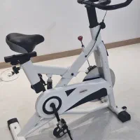 دوچرخه ثابت