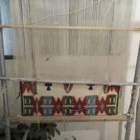 دار قالی