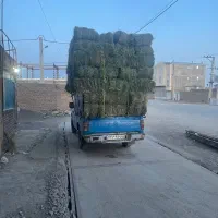 یونجه یک بدون علف و رطوبت