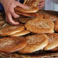 جویای کارم شاطر و چونه گیر فتیری تنوری و بربری