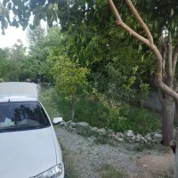 باغچه|فروش زمین و ملک کلنگی|چهارباغ, |دیوار