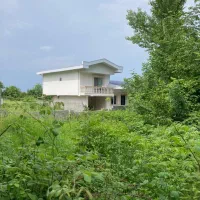 ۲۰۸ متر تنکابن جاده نعمت اباد  سنددار  ۸۰۰ ملیون