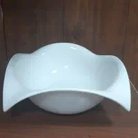 کاسه لب برگردون خارجی