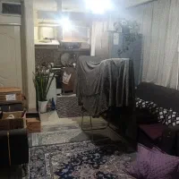 شیک-نقلی