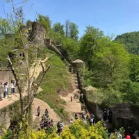 تور ۵ روز شیراز
