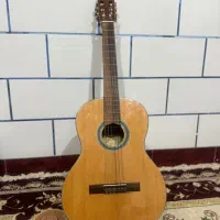 گیتار حرفه ای