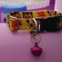 وسایل ضروری گربه