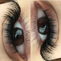 اجاره لاین ناخن و مژه
