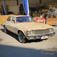 بیوک B3 مدل ۶۵|خودرو کلاسیک|تهران, صادقیه|دیوار