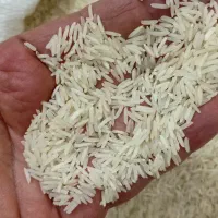 ۱۵۰ کیلو برنج فجر سوزنی به شرط پخت ۲۸۵۰۰۰