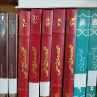 کتاب ترجمه و تفسیر نهج البلاغه / علامه محمد تقی