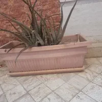 گلدان