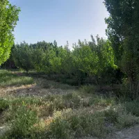 120مترزمین فروشی/احمدآبادمستوفی