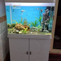آکواریوم دلسا k800 با میز