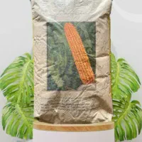 ذرت علوفه ای و دانه ای