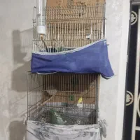 قفس سهره