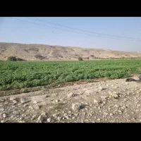 10-هکتار-اجاره-زمین-کشاورزی