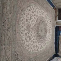 فرش|فرش|بجنورد, |دیوار