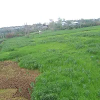 اجاره-مسکونی-ویلایی