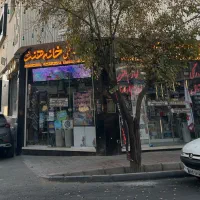 طراح حرفه ای خانم مسلط به فتوشاپ