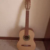 گیتار بنبرگ مدل bg491