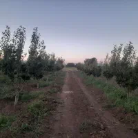 4000-متر-باغ-چوبیندر-با-1ساعت-نیم-آب