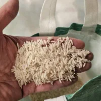 برنج هاشمی خالص تالش ۵ و ۱۰ کیلویی|خوردنی و آشامیدنی|تهران, مولوی|دیوار