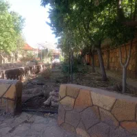 باغ هزار متری فروشی کلاکوب