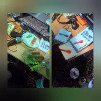 دیجی ثمین|خدمات پذیرایی، مراسم|قائن, |دیوار