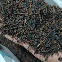 چای ایرانی لاهیجان استوایی میوه ای