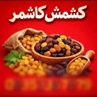 کشمش ده نو کاش مر