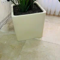 یه عدد گلدان مربع بدون گل