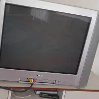 تلویزیون