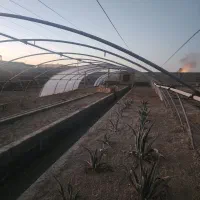 سازه گلخانه