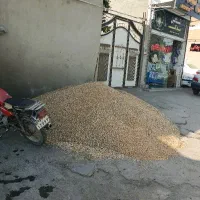 گندم