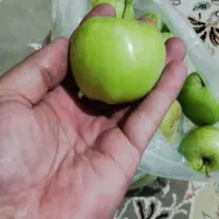 سیب
